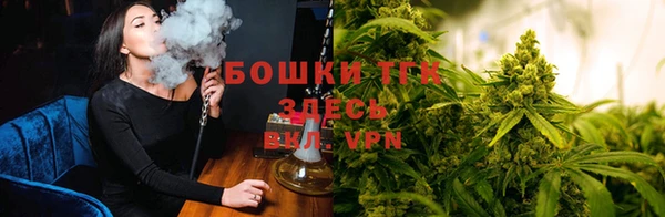 крисы Сатка