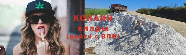 крисы Сатка