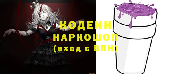 СК Горнозаводск
