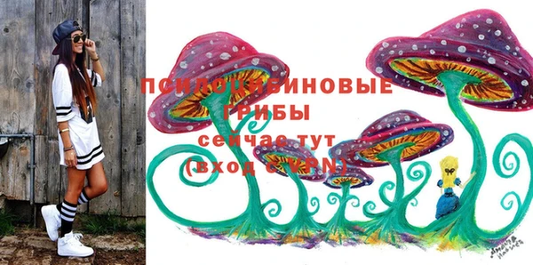 СК Горнозаводск