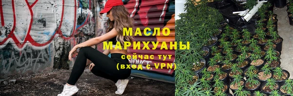 гидра Вязьма