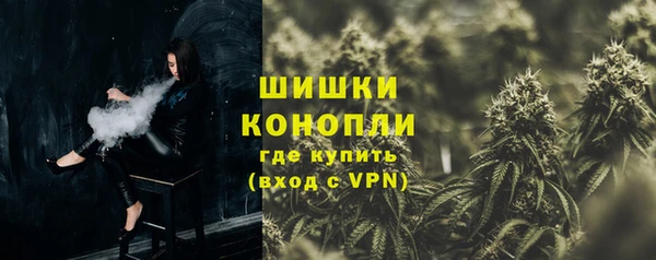 крисы Сатка