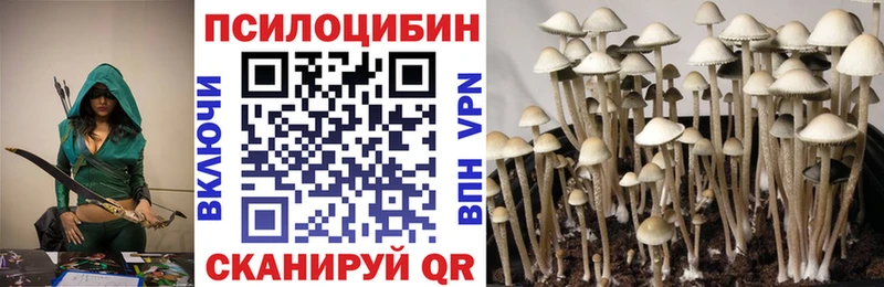 ОМГ ОМГ ссылки  Горбатов  Галлюциногенные грибы Psilocybe 
